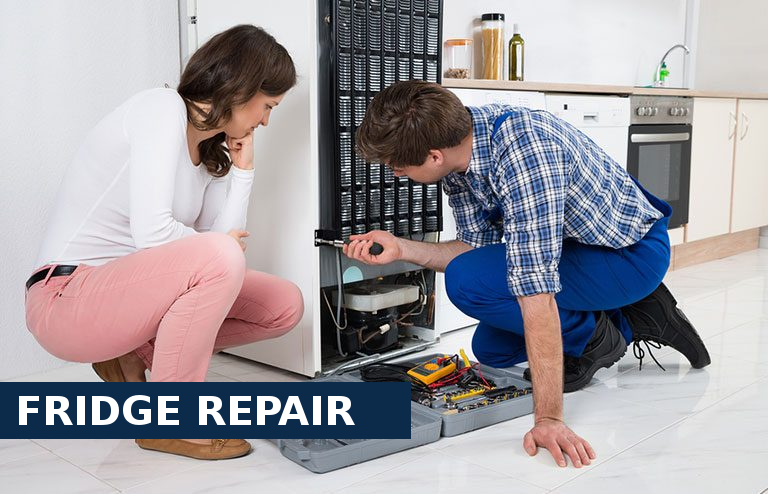 Fridge Repair South Kensington
